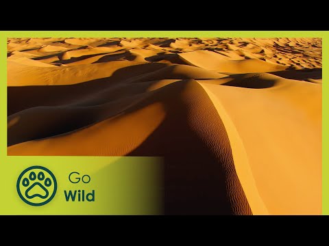 Algeria From Above | Go Wild