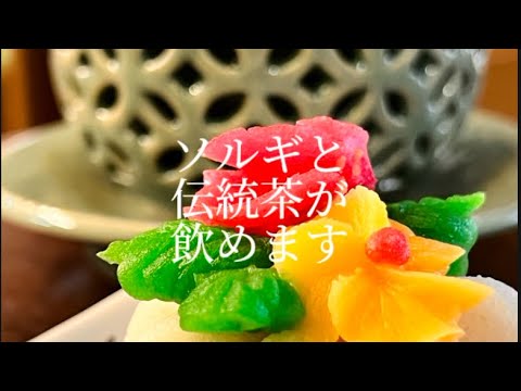 新大久保ナンバーワン猫カフェ！いやいや伝統喫茶『韓流茶房』は今日もにゃー🐈