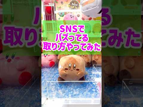 SNSで話題の取り方してみた！ #shorts #ufoキャッチャー #クレーンゲーム