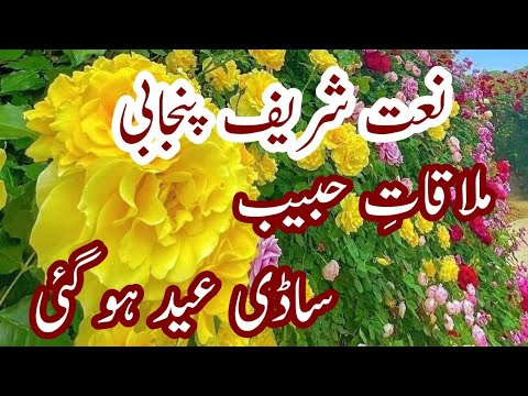 Mufti Mazhar mukhtar Durani ka shagird|Allama Habib Ur Rahman freedi || ملاقات حبیب ساڈی عید ہو گئی