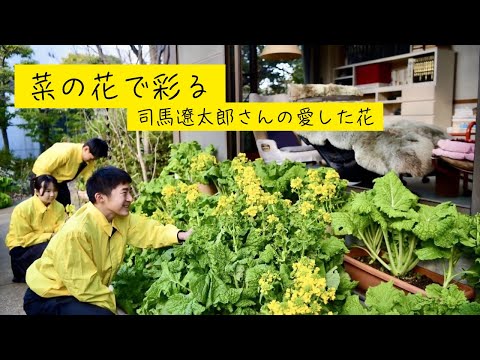 菜の花忌を前にプランター設置