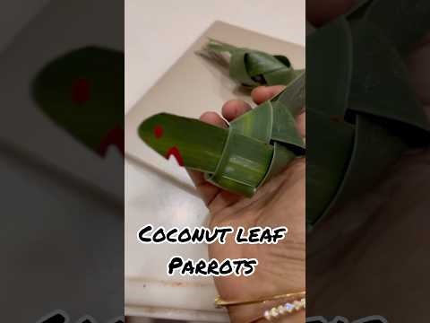 Coconut leaf parrot#positivevibes parrot#diy #handmade #happiness #Easy#decoration