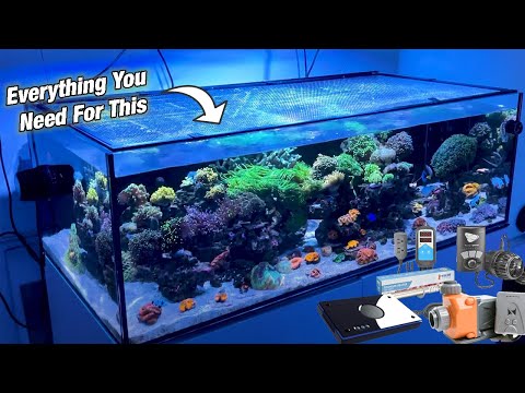 Essential Equipment For A Reef Tank