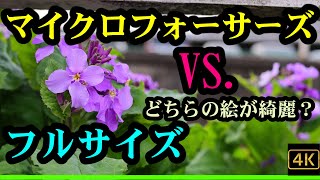 マイクロフォーサーズ vs. フルサイズ どちらが綺麗に撮れる？