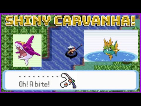 Shiny Carvanha Snagged On Route 119! First Phase. 8,050 Fishing Encounters!