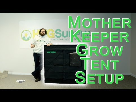 Grow Tent Setup: AgroMax Mother Keeper