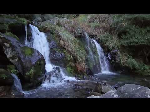 230林道（西勢山林道）雪山西稜／28.5k大雪山登山口～大溪水匯流口～(2)