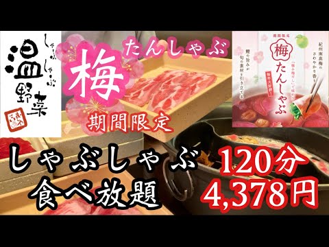 【しゃぶしゃぶ温野菜】ウワサのしゃぶしゃぶ温野菜で期間限定の梅たんしゃぶ食べ放題を120分まるっと堪能してきた♡