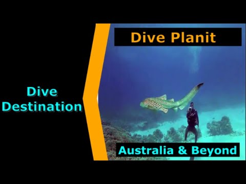 Diving Australia, DivePlanit Travel, Destination Spotlight for Scuba.Digital The #1 Online Dive Show