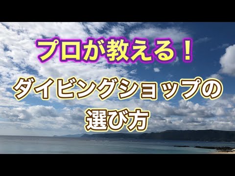 初めてのダイビング！プロが本音で教えるダイビングショップの選び方⭐️