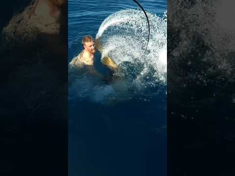 WHEN GOLIATH GROUPER STRIKE BACK!!#slap #boxing #animalsattack #shorts #fishing