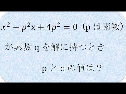 数学の解説書　素数（上智大）