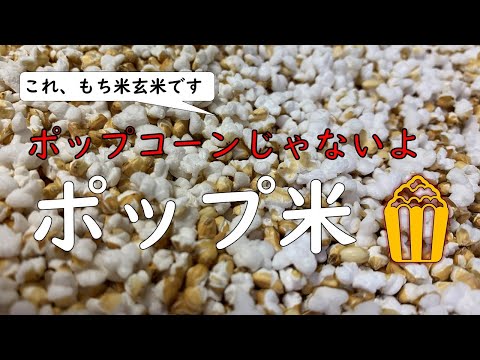 【ポップコーンではありません】もち米で「ポップ米」香ばしいですよ！