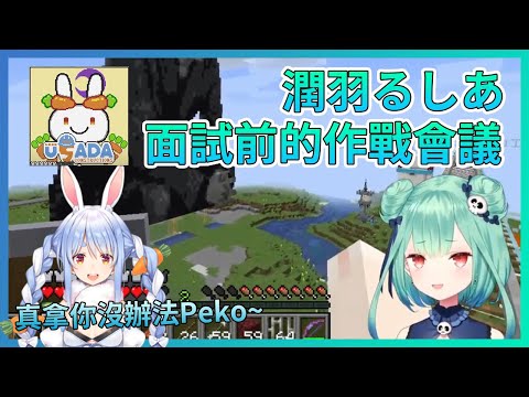 【Hololive/潤羽露西婭】露醬的兔田建設面試必勝話術 !  這個Peko還學的真像啊【中文字幕】【ホロライブ】