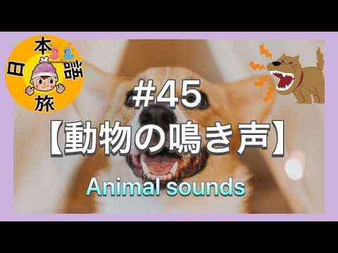 #45【動物の鳴き声(オノマトペ)】Let's Learn Japanese!!(Animal sounds)