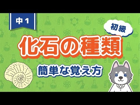 中1理科『示相化石と示準化石』＊語呂合わせと覚え方