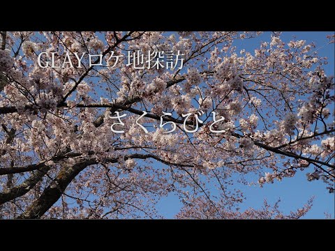 GLAY『さくらびと』のロケ地　桜前線を越えてしまったけれど…