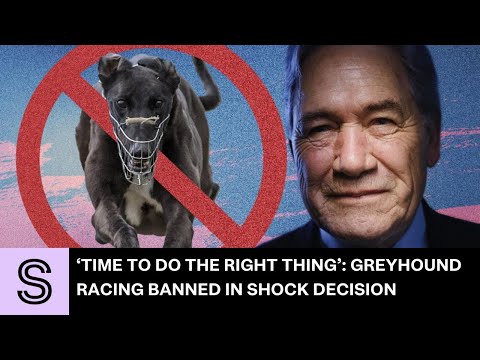 ‘Time to do the right thing’: Greyhound racing banned in shock decision | Stuff.co.nz