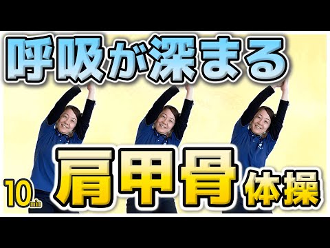 呼吸が深まる！肩甲骨体操【MIKIの座ってできる簡単椅子体操】