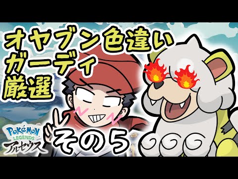 オヤブン色違いガーディ厳選ガチでやる配信その５【Pokémon LEGENDS アルセウス】