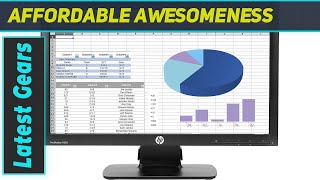 HP ProDisplay P202m 20" Monitor - In-Depth Review!