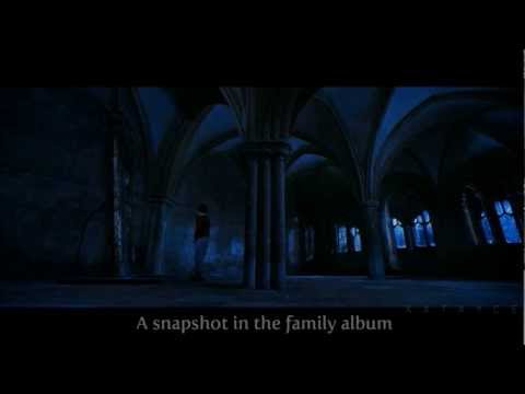 Harry Potter - Another Brick in the Wall - with Lyrics (HQ)