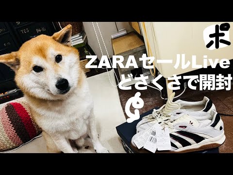 ZARAセールの配信（リベンジ！！）