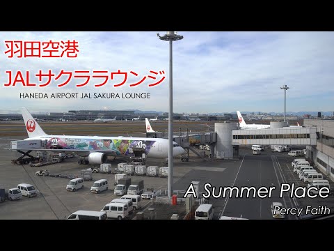 【日曜深夜名曲 vol.316】 羽田空港サクララウンジ (東京都大田区) | ある夏の日の恋 (パーシー・フェイス)