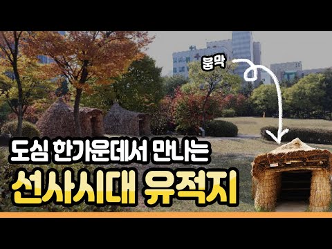 도심 한가운데서 만나는 선사시대, '둔산선사유적지'