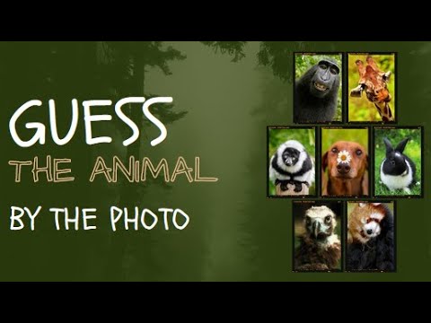 Guess the Animal #gkquestion #animalquizgame #MindMasteryHub #gk