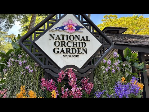 Tour of Singapore's National Orchid Garden 🌷 | Orchids & Sembcorp Cool House Experience in 4K