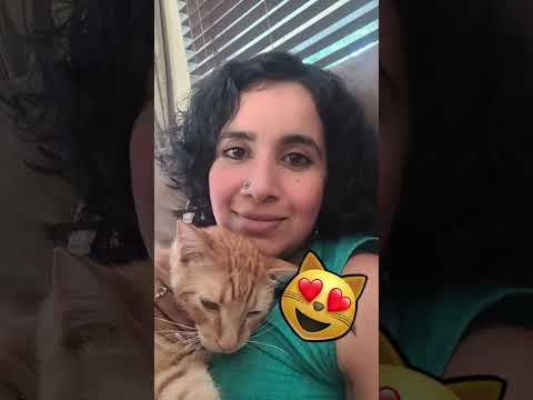 Are You Allergic To Cats? | Two Crazy Cat Ladies