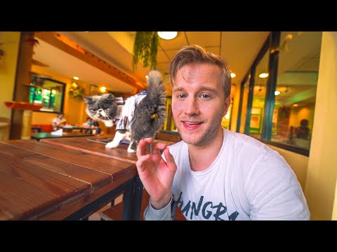 Bangkok Cats Mafia / HALAL Thai Food Tour / Non Touristy Thailand