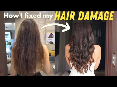 How to fix HAIR DAMAGE! | Hair tips for damaged hair