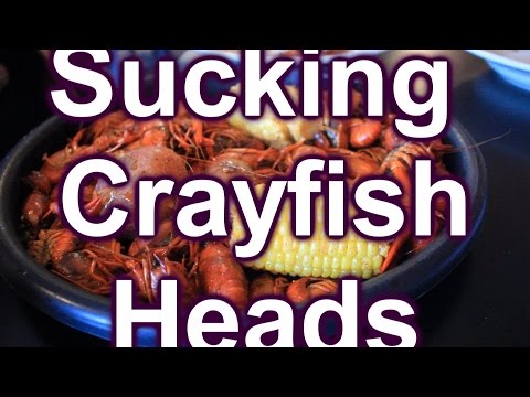 Sucking Heads & Eating Tails a Crayfish Journey ~ Review ~ Yummy!