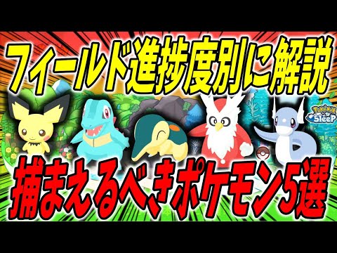 迷ったら捕まえよう！フィールド進捗度別捕まえるべきポケモン5選【ポケモンスリープ】