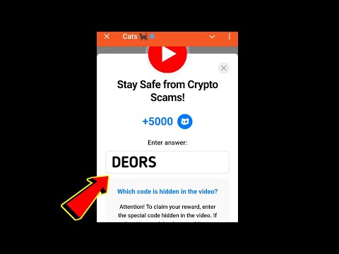 Stay Safe from Crypto Scams! Cats Code | Stay safe from Crypto Scams cats video code today