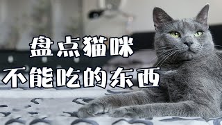 盘点一下猫咪不能吃的东西有什么？