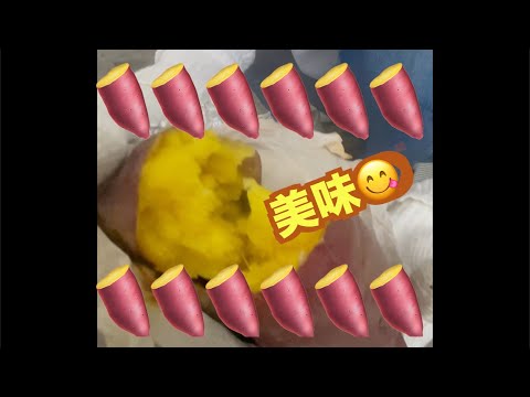 秋の味覚😋石焼き芋作ってみた！＃Shorts