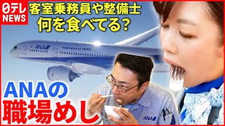 【職場めし】名物ランチ＆機内食も!? ANA"空の安全"守る力の源は 『every.特集』