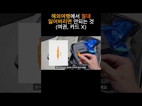 해외에서 잃어버리면 ㅈ되는데 아무도 말 안해주는 것 | 여권 아님 #automobile #도쿄 #해외여행준비 #신주쿠 #일본여행