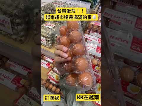 台灣蛋荒🥚？！來一起去越南🇻🇳胡志明市超市看看買不買的到蛋！Let’s go~各種蛋任你選！