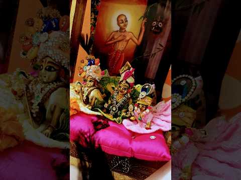 Mere Banke Bihari Lal ❤️ || Banke Bihari || #shots #trending #krishnabhajan #krishna #bankebihari