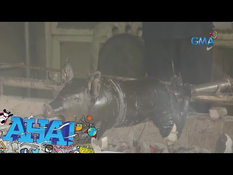 Lechon de Negra, kakaibang lechon na dapat subukan! | AHA!