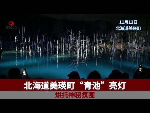 北海道美瑛町“青池”亮灯烘托神秘氛围