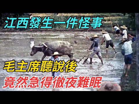 江西發生一件怪事，毛主席聽說後，竟然急得徹夜難眠【史話今說】#歷史 #近代史 #故事