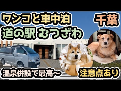 ワンコと車中泊【 道の駅むつざわ】温泉併設の道の駅が最高すぎる！ 但しアレには気を付けて