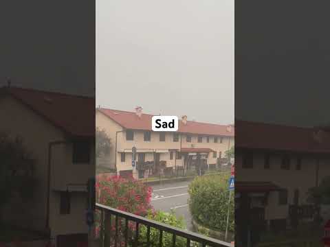 Lonely Day #shortvideo #fyp #rain #rainsounds #rainyday #rainyday #rainyseason