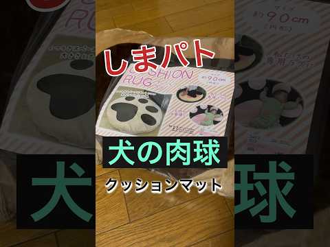 ❤︎本日のしまパト　肉球がかわいいクッションマット　 #購入品紹介 #しまむら  #しまパト #しまむら購入品  #しまむらパトロール  #しまむら戦利品  #しまむらコーデ