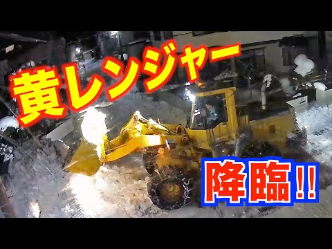 【雪】黄レンジャー、登場！白い怪物との闘いが始まった